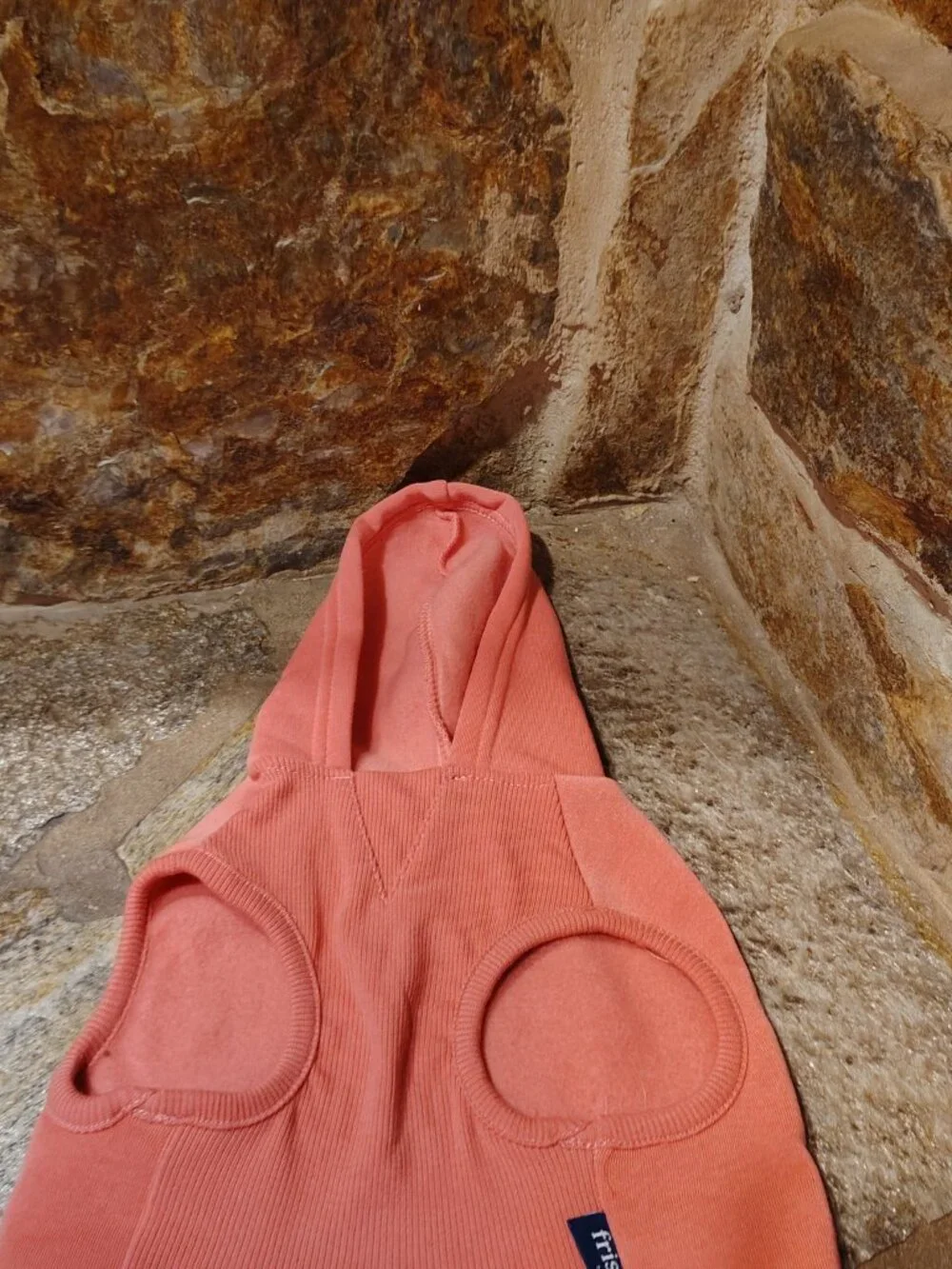 Frisco by Chewy Dog Cat Basic Hoodie Pink Size Medium Girl Polyester Pet